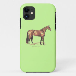 Reitpferd title_seo2