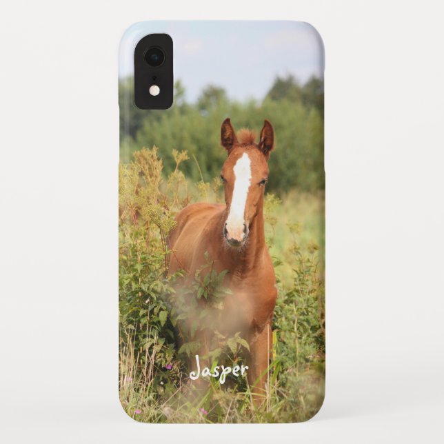 Reitpferd-Foto Case-Mate iPhone Hülle (Rückseite)