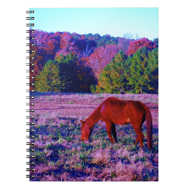 Reitpferd im Lila Gras Notizblock (Vorderseite)