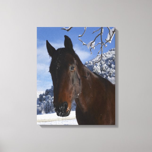 Reitpferd im Winter Leinwanddruck (Vorderseite)