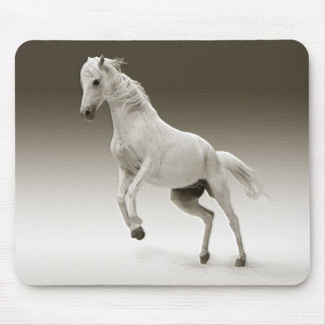 Reitpferd Mousepad (Vorne)