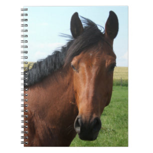 Reitpferd Notizblock