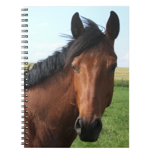 Reitpferd Notizblock (Vorderseite)