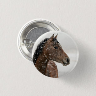 Reitpferd Stehend im sanft abfallenden Schnee Button