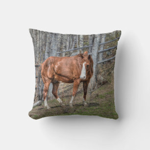 Reitpferde-Foto für Tierfreunde Kissen