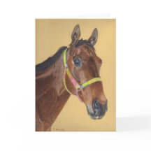 Reitpferde Grußkarte