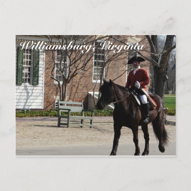 Reitpferde in Kolonial-Williamsburg Postkarte (Vorderseite)