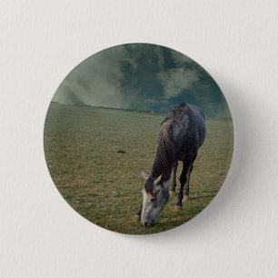 Reitpferde in Paddock Button