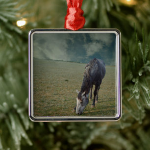 Reitpferde in Paddock Ornament Aus Metall