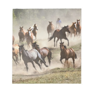 Reitpferde während der Roundup, Montana Notizblock