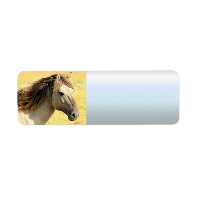 Reitprofil (Vorne)
