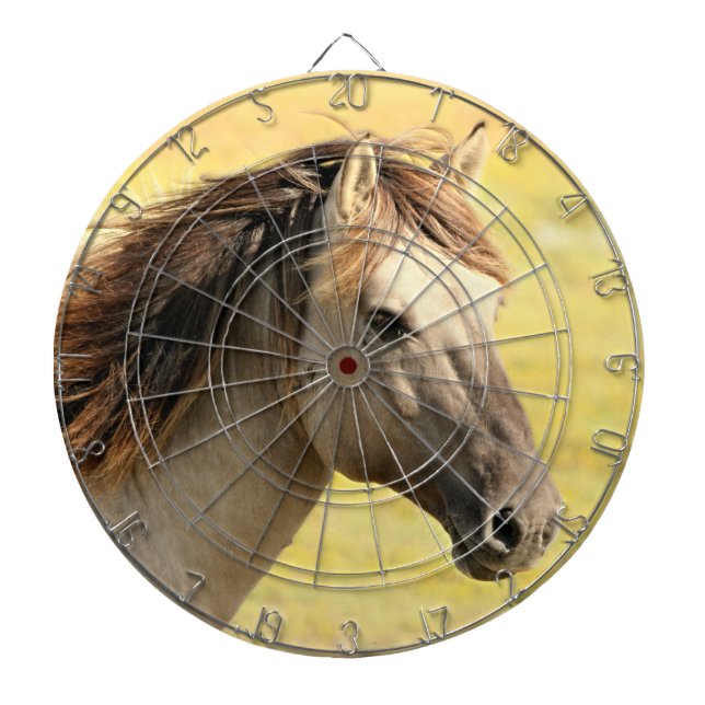 Reitprofil Dartscheibe (vorne)