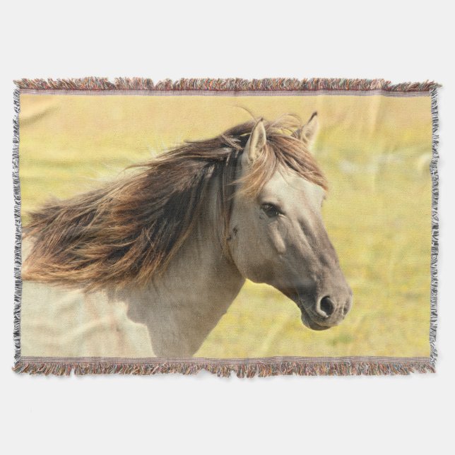 Reitprofil Decke (Vorderseite)