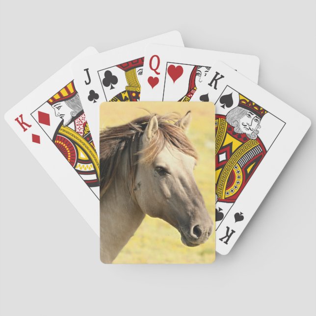 Reitprofil Spielkarten (Rückseite)