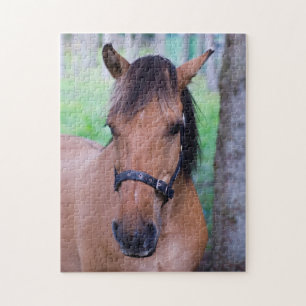 Reitpuzzle