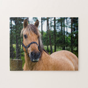 Reitpuzzle