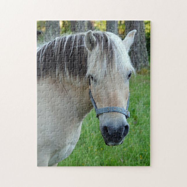 Reitpuzzle (Vertikal)
