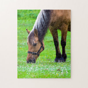 Reitpuzzle