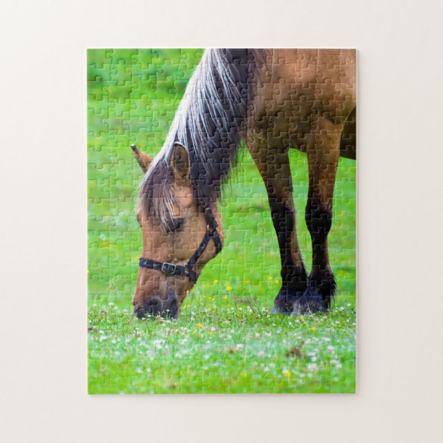 Reitpuzzle (Vertikal)