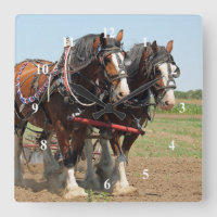 Reitsport Clydesdale Foto