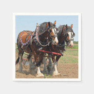 Reitsport Clydesdale Foto Serviette