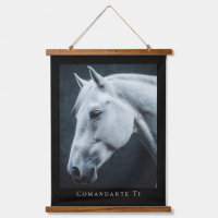 Reitsport individuelles Pferdefoto Name schwarzer
