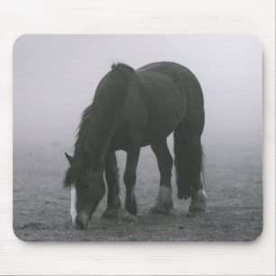 Reitsport Pferd Reitstall Süße Pferdeliebhaber Mousepad