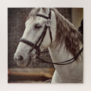 Reitsport Puzzle Andalusien