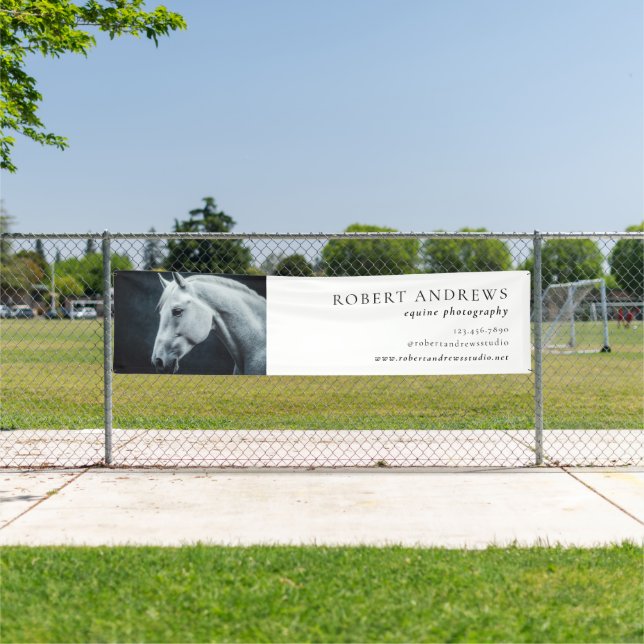 Reittiere Banner (InSitu)
