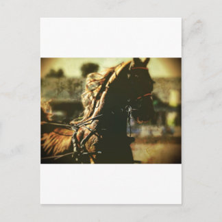 Reittiere | Reiner Power Postkarte