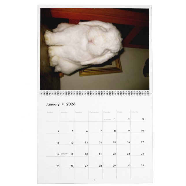 reizende Häschen Kalender (Jan 2026)