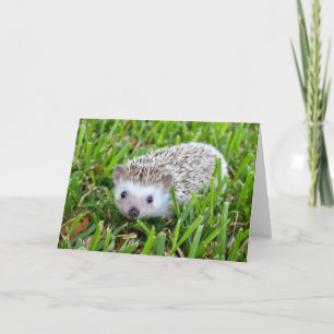 Reizende Hedgehog Blank Card Feiertagskarte