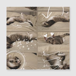 Reizende Katzenpostkarte Magnetkarte