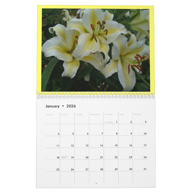 Reizende Lilien-Kalenderänderung das Jahr, wie Kalender (Jan 2026)