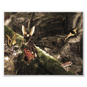 Reizende Schmetterlings-Natur-Fee Fotodruck