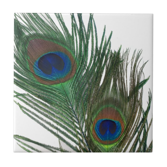 Reizende weiße Pfau-Feder-Fliese Fliese (Vorderseite)