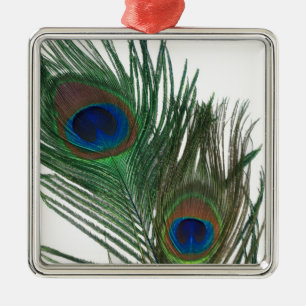 Reizende weiße Pfau-Feder-Verzierung Silbernes Ornament