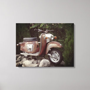 Reizender alter Roller-Single-Druck Leinwanddruck