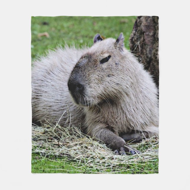 Reizender Capybara Fleecedecke (Vorderseite)
