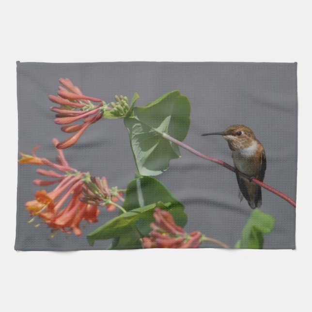 Reizender Kolibri Geschirrtuch (Horizontal)