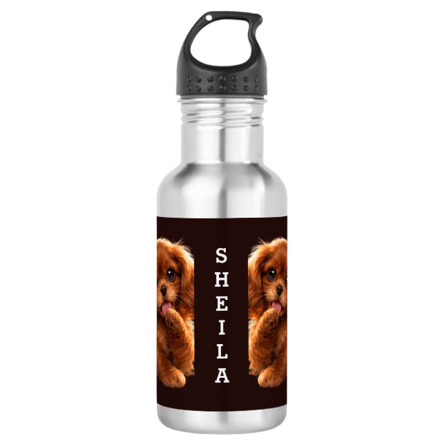Reizender Ruby Cavalier Spaniel Edelstahlflasche (Vorderseite)