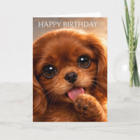 Reizender Ruby Cavalier Spaniel