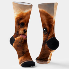 Reizender Ruby Cavalier Spaniel Socken