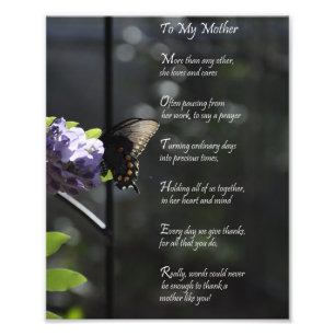 Reizender Schmetterling "zu meiner Mutter" danken Fotodruck