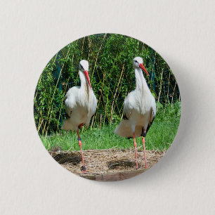 Reizender Storch Button