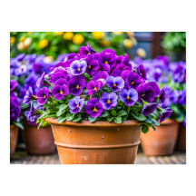 Reizender violetter Blumentopf