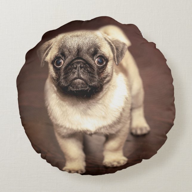 Reizender Welpen-Mops, Hund, Haustier, Tier Rundes Kissen (Rückseite)