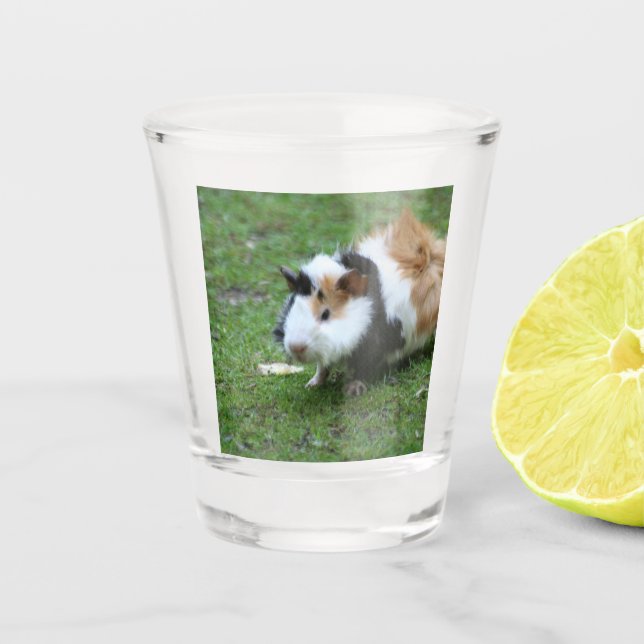 reizendes Meerschweinchen Schnapsglas (Vorderseite)