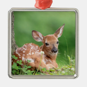 Reizendes Reh unter einem Baum liegend Ornament Aus Metall