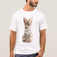Reizendes Serval-Kätzchen in weißem Strickpullover
